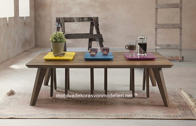 Modern orta sehpa modelleri 5