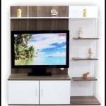 Tekzen tv üniteleri