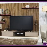 Tekzen tv üniteleri
