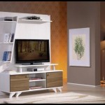 Tekzen tv üniteleri