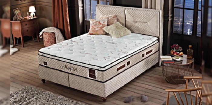 biomedical kilim mobilya yatak