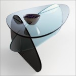 Modern siyah ayaklı oval cam sehpa modeli